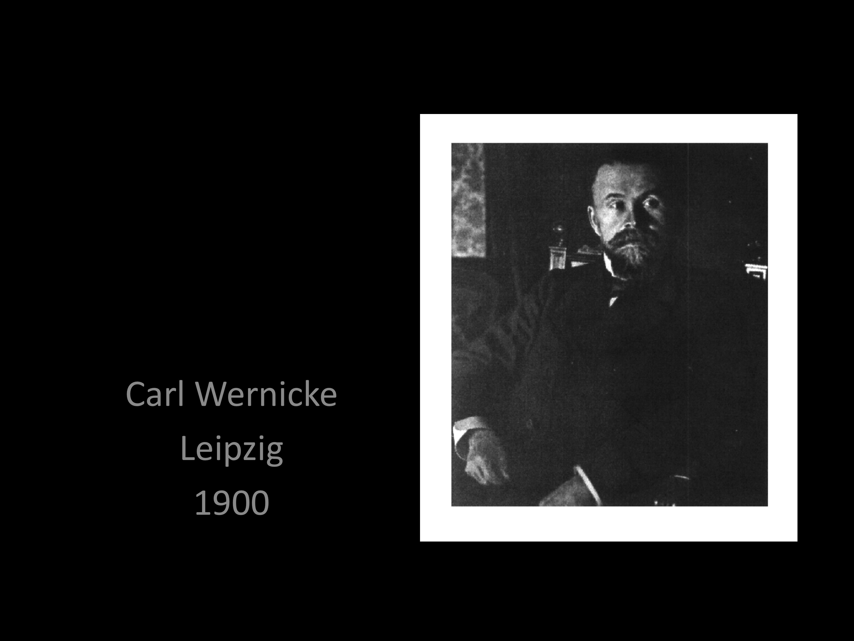 wernicke